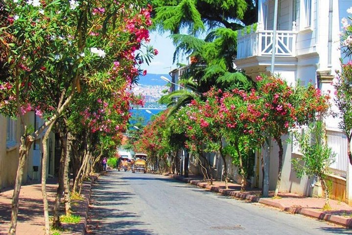 Buyukada Princes Island Guided Day Tour with lunch from Istanbul