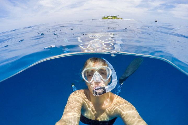 MIAMI: Key West Dolphin Watch Tour and other options