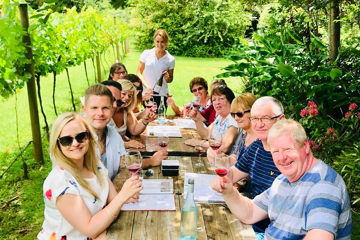 Mount Tamborine Wine Tasting Tour From Brisbane Or The Gold Coast, Brisbane