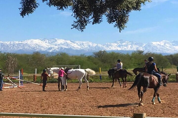 Marrakech & The Farm Experience!
