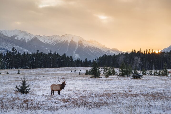 Private Discover Rocky Mountain National Park