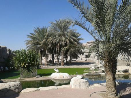 1 Day Trip to Sharjah from Dubai