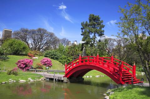 8 Day Trip to Buenos aires from Campinas