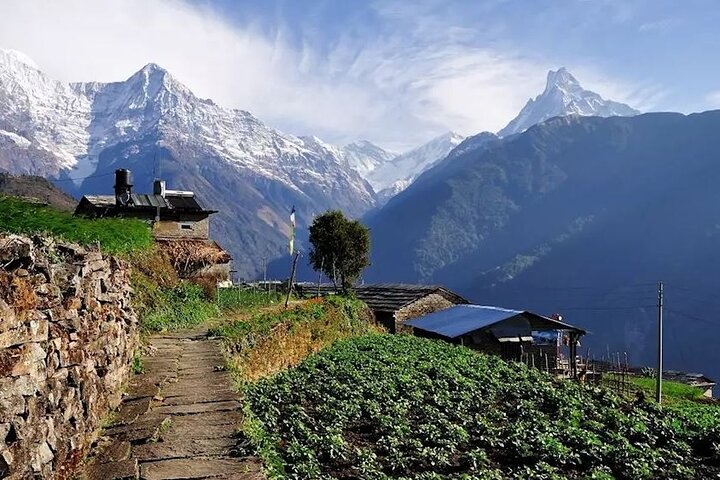 Multi-Day Ghandruk Trek In Pokhara, Pokhara