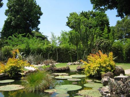  Day Trip to Porto Alegre 
