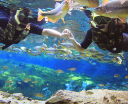 2 days Trip to Bonito