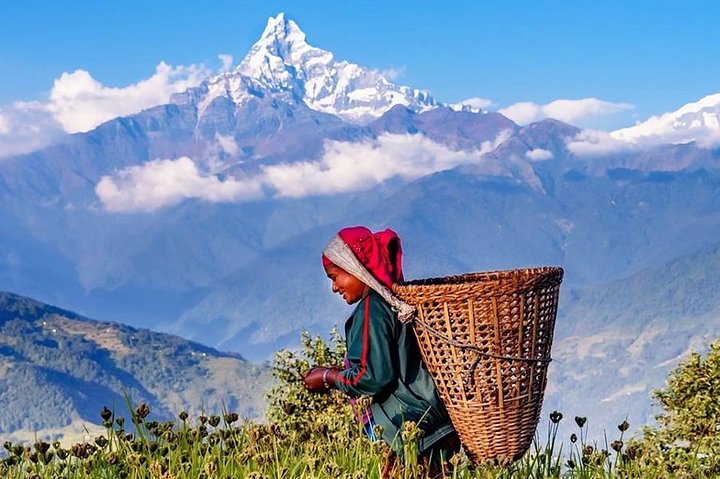 Private Full-Day Hike In The Annapurna Foothills In Pokhara, Pokhara