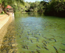 2 days Trip to Bonito 