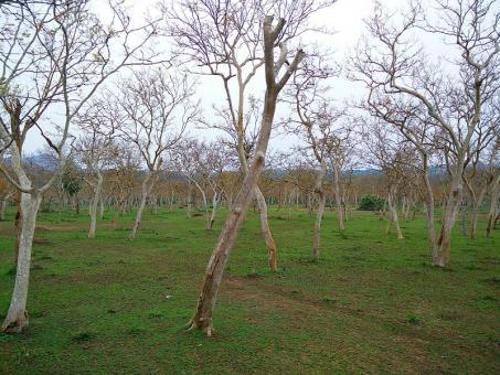 3 days Itinerary to Ooty