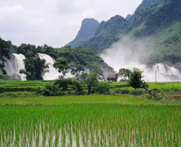 4 Day Trip to Nanning from Nieuw-vennep