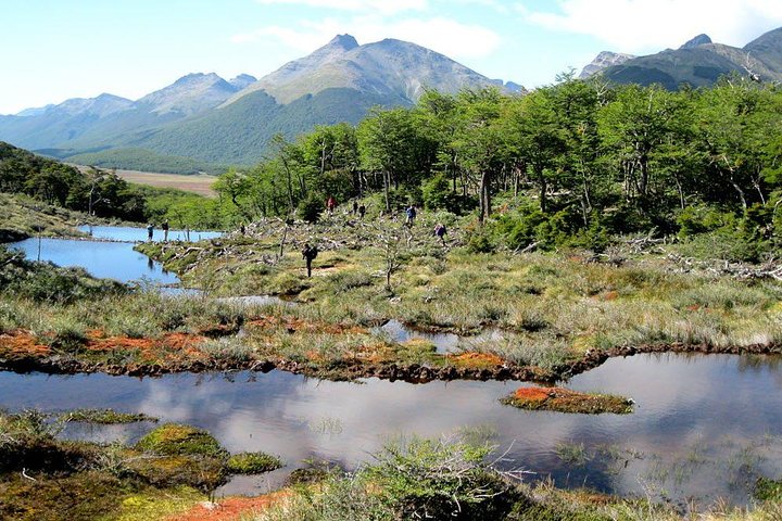 Tierra Del Fuego National Park With Lapataia Bay From Ushuaia, Ushuaia