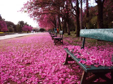  Day Trip to Porto Alegre 