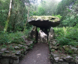 4 Day Trip to Wexford from Ottawa