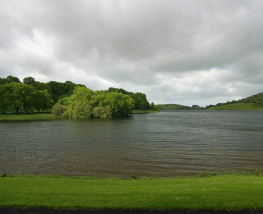 11 Day Trip to Limerick from Indinapolis