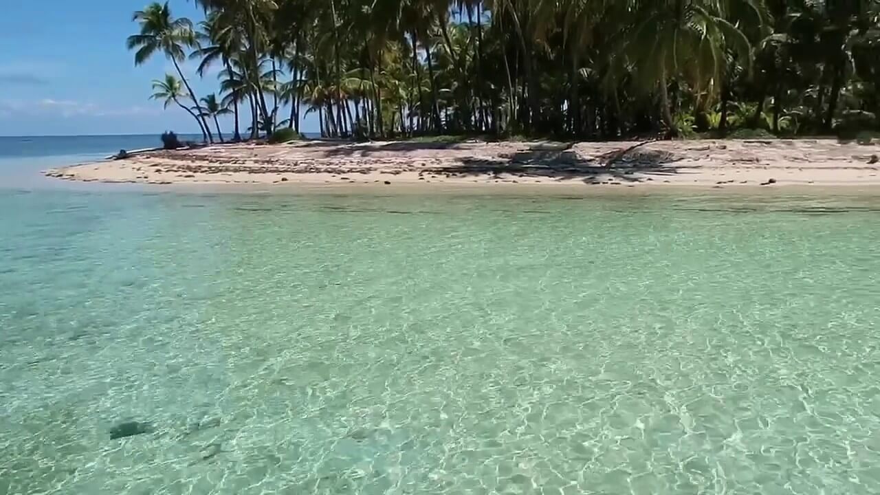 media_gallery-2020-02-20-5-Miskit_Cays_c24775ee1975b5d845278b2397da6efe.jpg