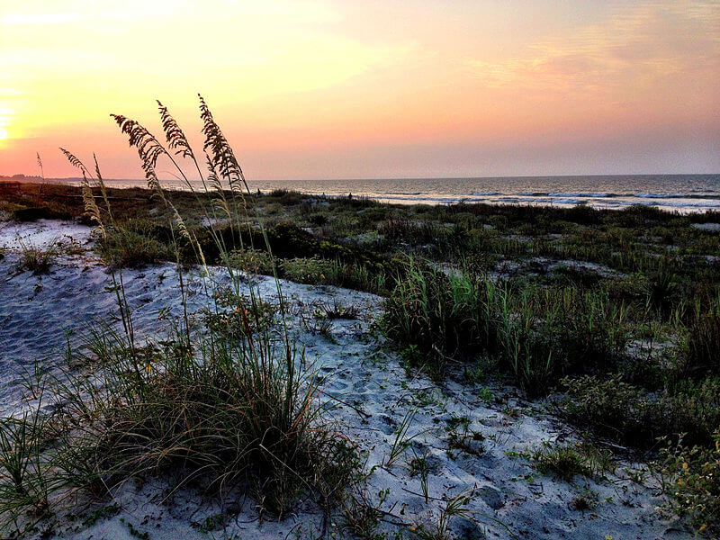 media_gallery-2020-02-24-5-800px_Kiawah_Island_6a3a7376a218bf99ab7c1affc2528601.jpg