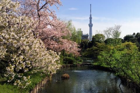 6 Day Trip to Tokyo
