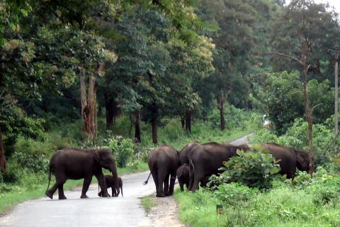 3 days Itinerary to Ooty