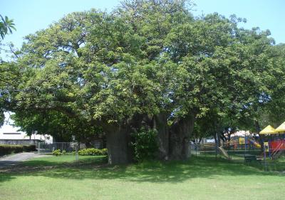 Queen Park