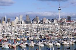 Day trip to Auckland