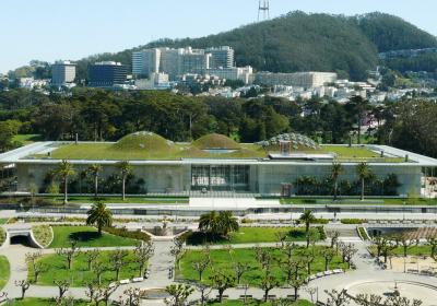 California Academy Of Sciences
