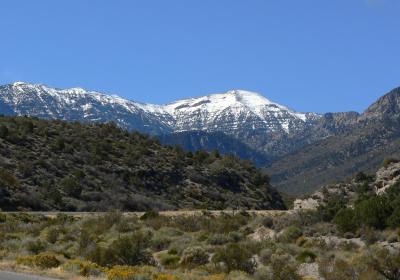 Mount Charleston