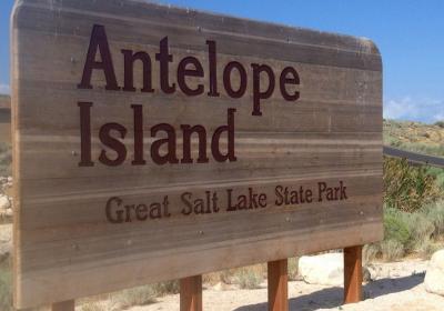 Antelope Island State Park