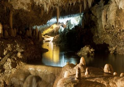 Harrison's Cave