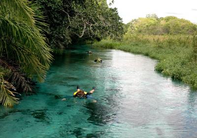 Rio Sucuri