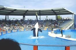 Miami Seaquarium