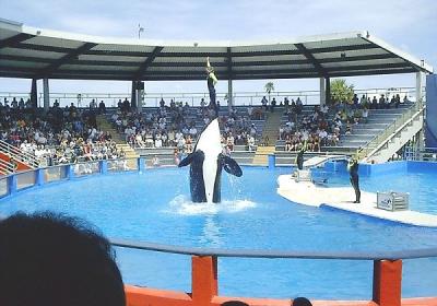 Miami Seaquarium