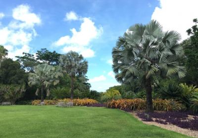 Fairchild Tropical Botanic Garden