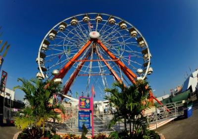 Miami-dade County Fair And Exposition