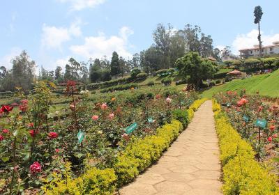 Government Rose Garden