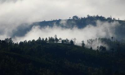 Ketti Valley View