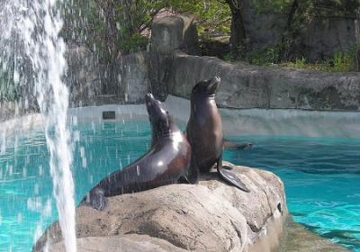 Pittsburgh Zoo And Ppg Aquarium