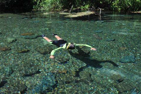 4 Day Trip to Bonito from Windsor