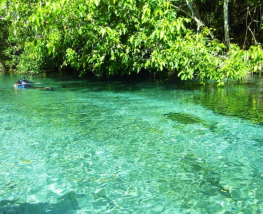 2 days Trip to Bonito 