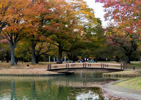 17 Day Trip to Tokyo